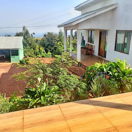 Ruhija Gorilla Guest House Kabale Eksteriør billede