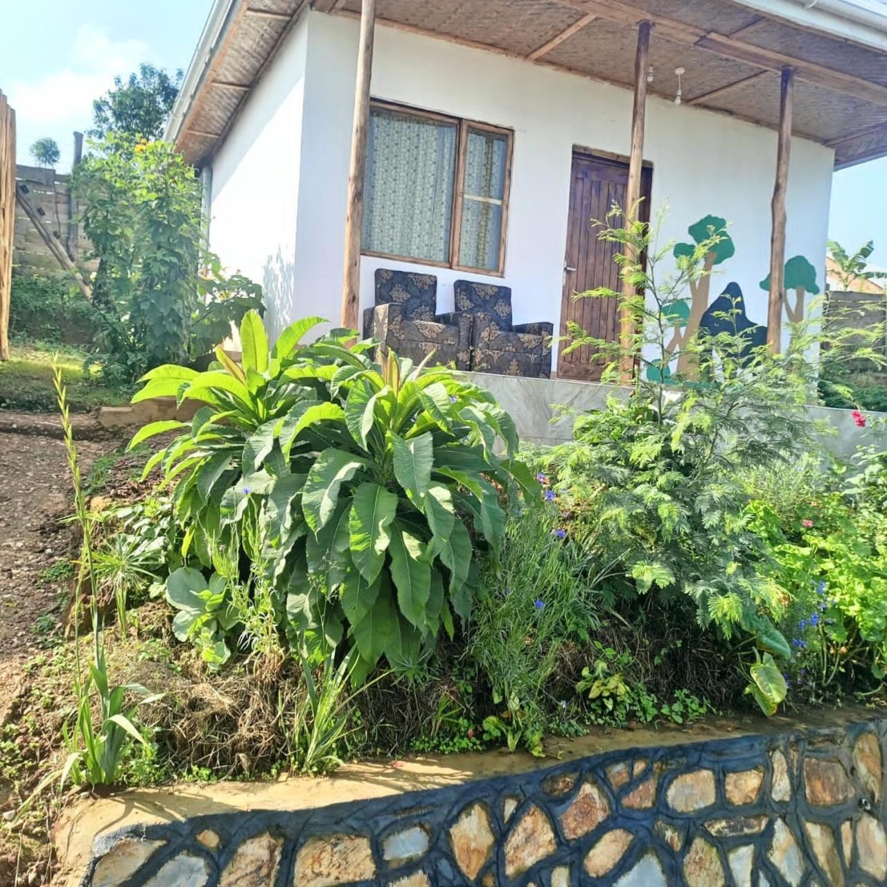 Ruhija Gorilla Guest House Kabale Eksteriør billede